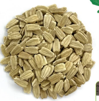 Enhetlig groning och fröplanta Vigor Hybrid vattenmelon grundstammar frön WG-04